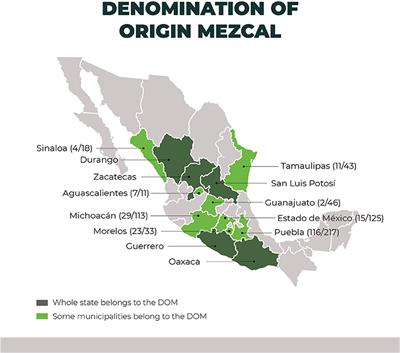 Mezcal Production in Mexico: Between Tradition and Commercial Exploitation